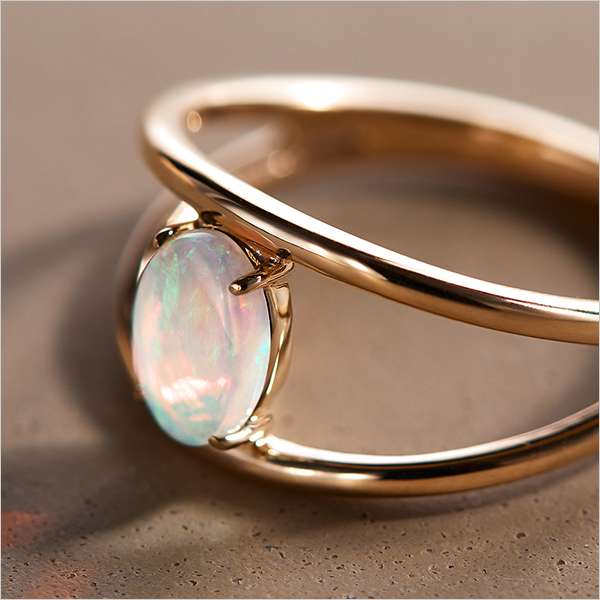 y10̒a΃Ip[Eg}zڏ̕ɑhƊӂ߂đIp[Eg}