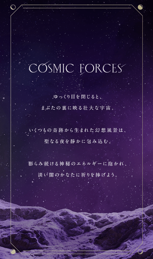 yԁEʌz2023 TSUTSUMI Winter LimieduCOSMIC FORCESv