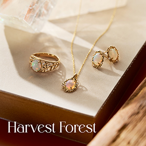 2026 Autumn Collection�uHarvest Forest�v