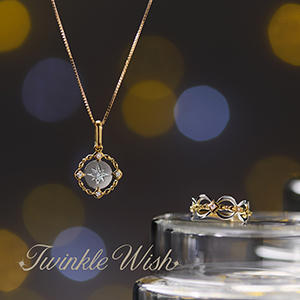 2026 Winter Collection�uTwinkle Wish�v