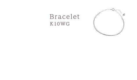 RBL541