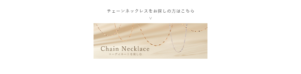 `F[lbNXT͂̕
