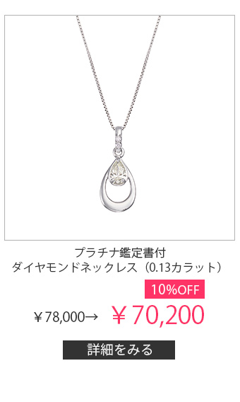 �v���`�i�Ӓ菑�t�_�C�������h�l�b�N���X�i0.13�J���b�g�j