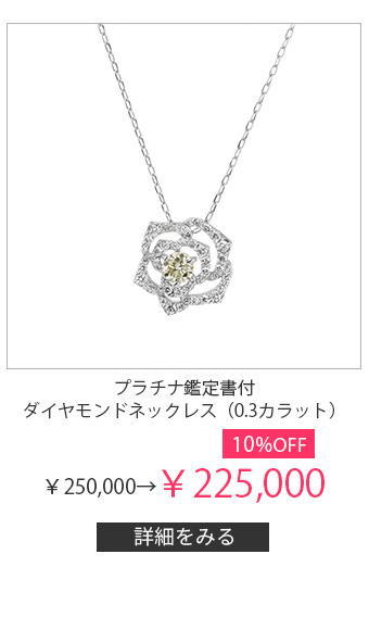 �v���`�i�Ӓ菑�t�_�C�������h�l�b�N���X�i0.3�J���b�g�j