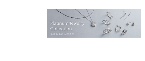 �v���`�i�W���G���[�R���N�V����