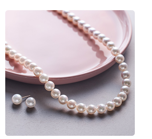 �p�[���W���G���[�C���[�W�ʐ^