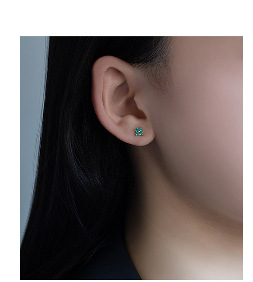 �G�������h�s�A�X�����摜