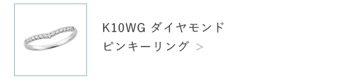 K10WG�_�C�������h�s���L�[�����O