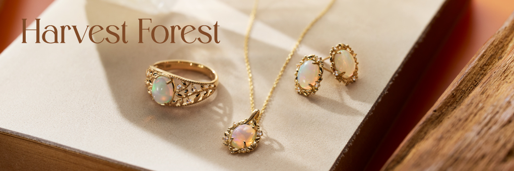 Harvest Forest