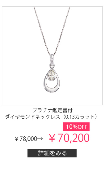 �v���`�i�Ӓ菑�t�_�C�������h�l�b�N���X�i0.13�J���b�g�j