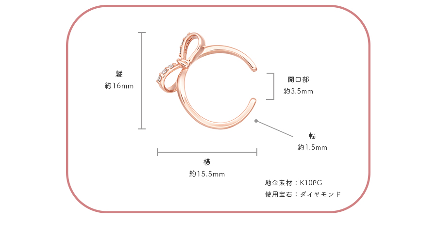 �C���[�J�t�T�C�Y�ڍ�