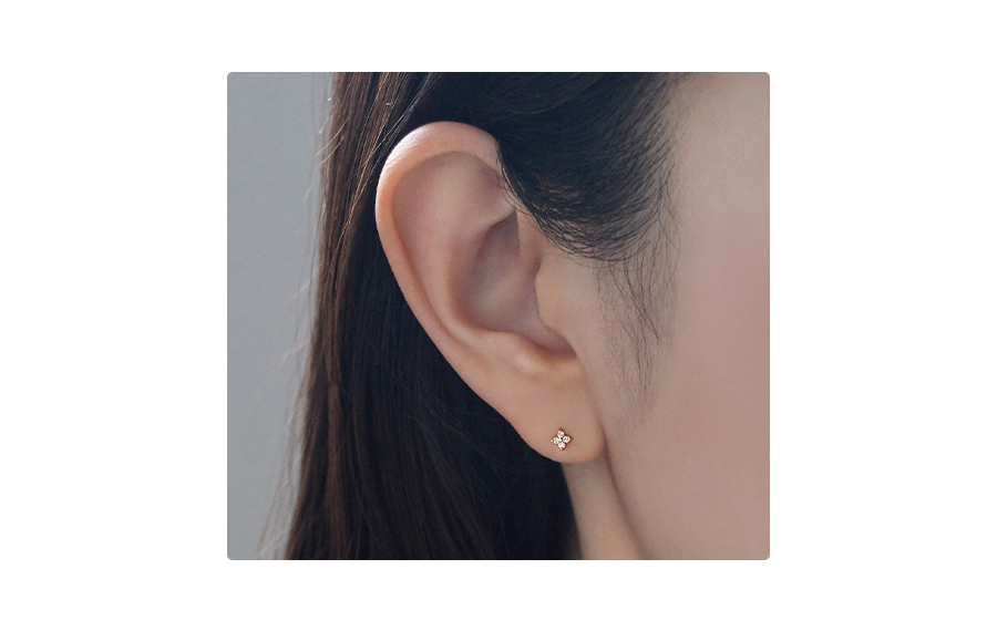 �s�A�X�����摜