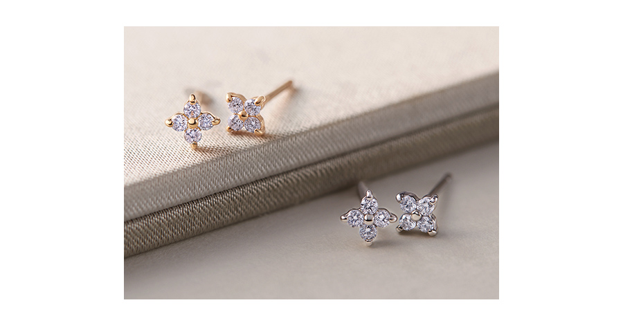 K18���v���`�i