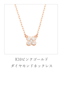 K10sNS[h_ChlbNX