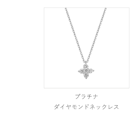 �v���`�i�_�C�������h�l�b�N���X