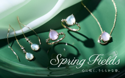 2026�X�v�����O�R���N�V����