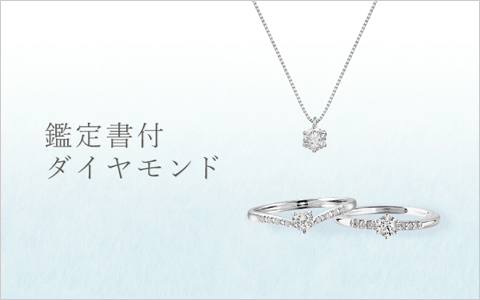 �Ӓ菑�t�_�C�������h