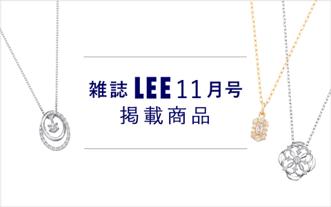 �G��LEE11�����f�ڏ��i
