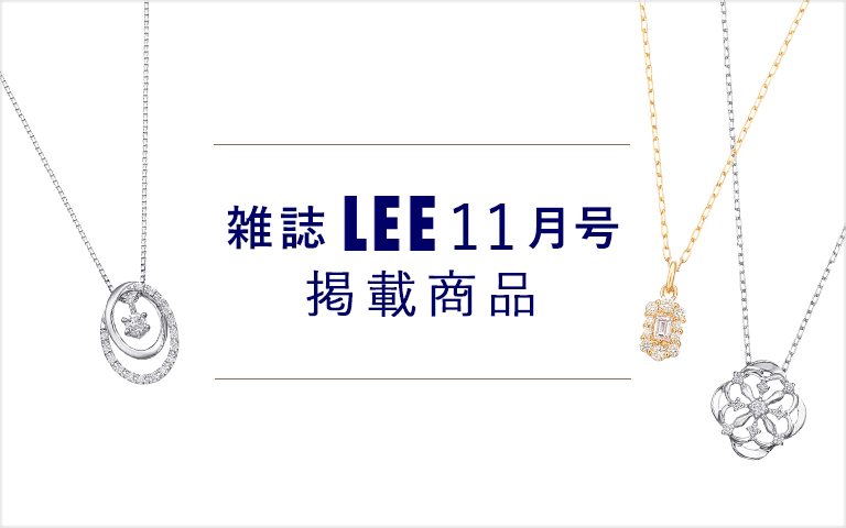 �G��LEE11�����f�ڏ��i