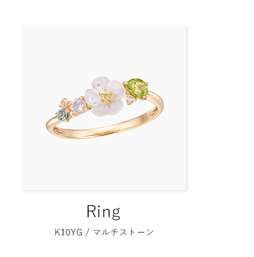 K10�C�G���[�S�[���h�}���`�X�g�[�������O