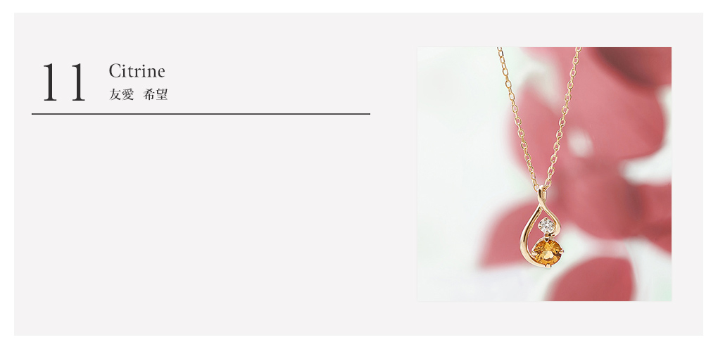 �V�g�����W���G���[