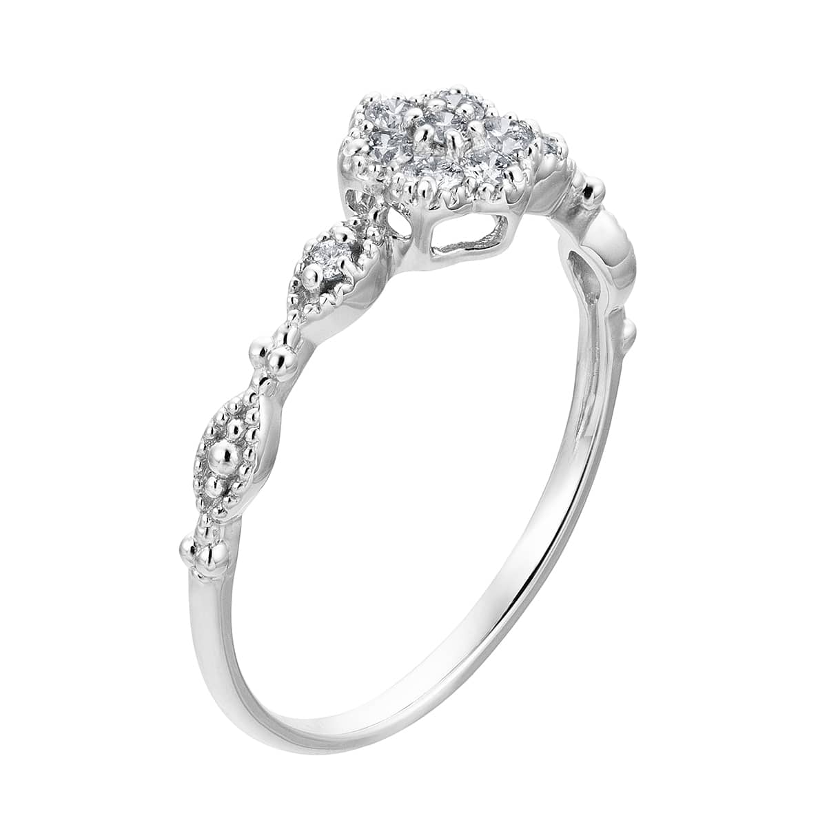 �v���`�i�_�C�������h�����O