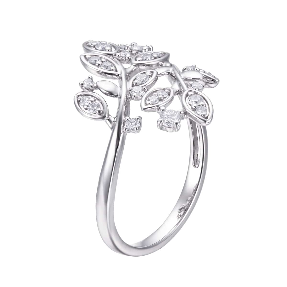 �v���`�i�_�C�������h�����O