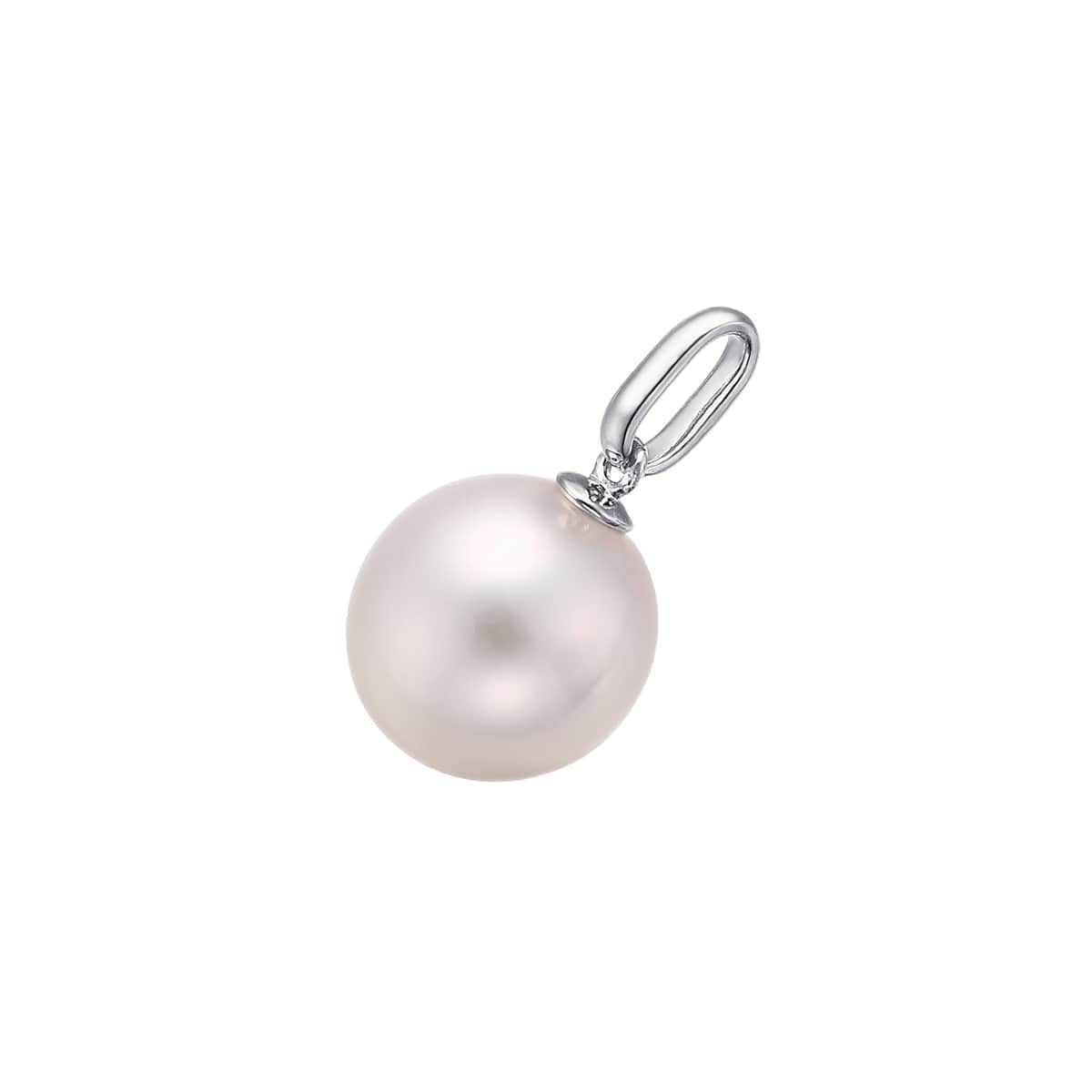 �v���`�i�A�R���^��y���_���g�i8.5mm�j
