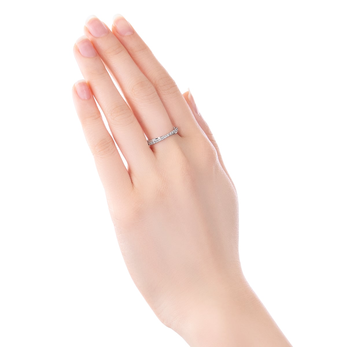�yWEB����z�v���`�i�_�C�������h�����O