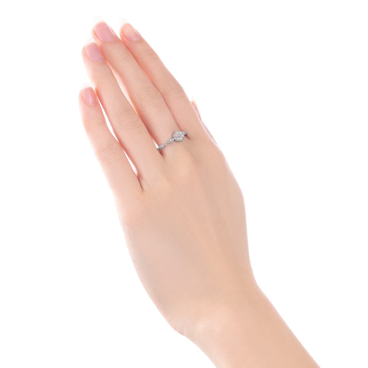 �v���`�i�_�C�������h�����O