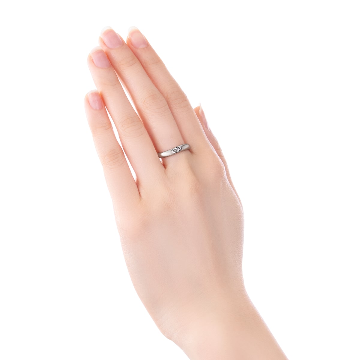 �yWEB����z�v���`�i�_�C�������h�����O