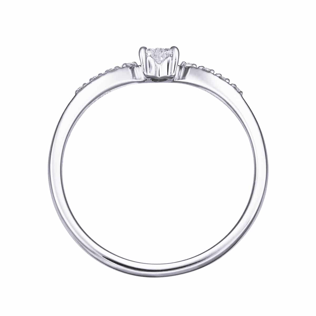 �v���`�i�Ӓ菑�t�_�C�������h�����O�i0.14�J���b�g�j