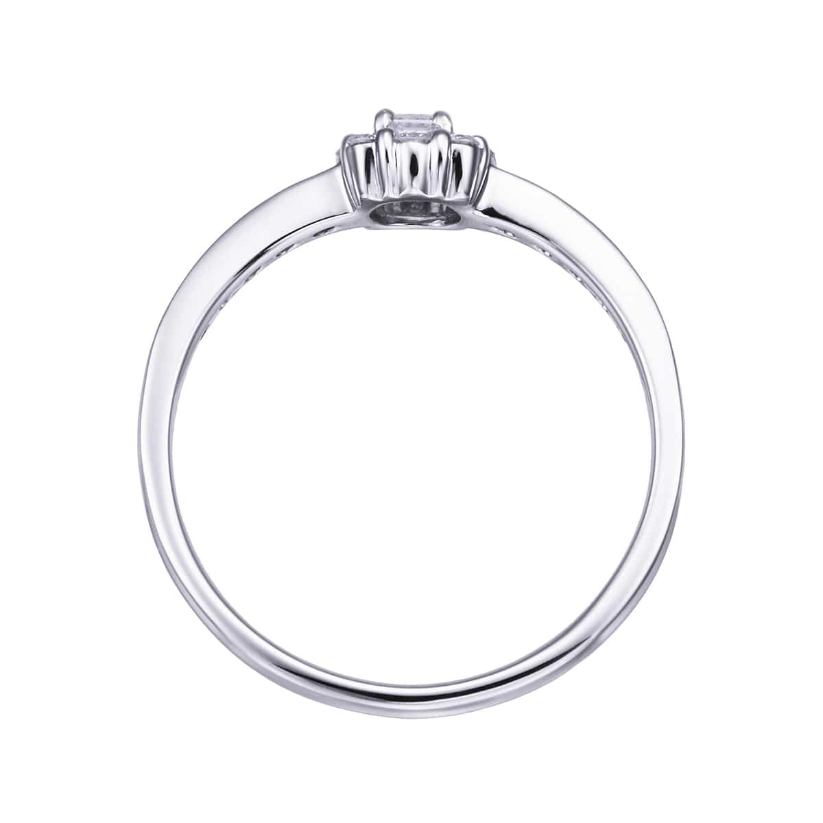 �v���`�i�Ӓ菑�t�_�C�������h�����O�i0.1�J���b�g�j