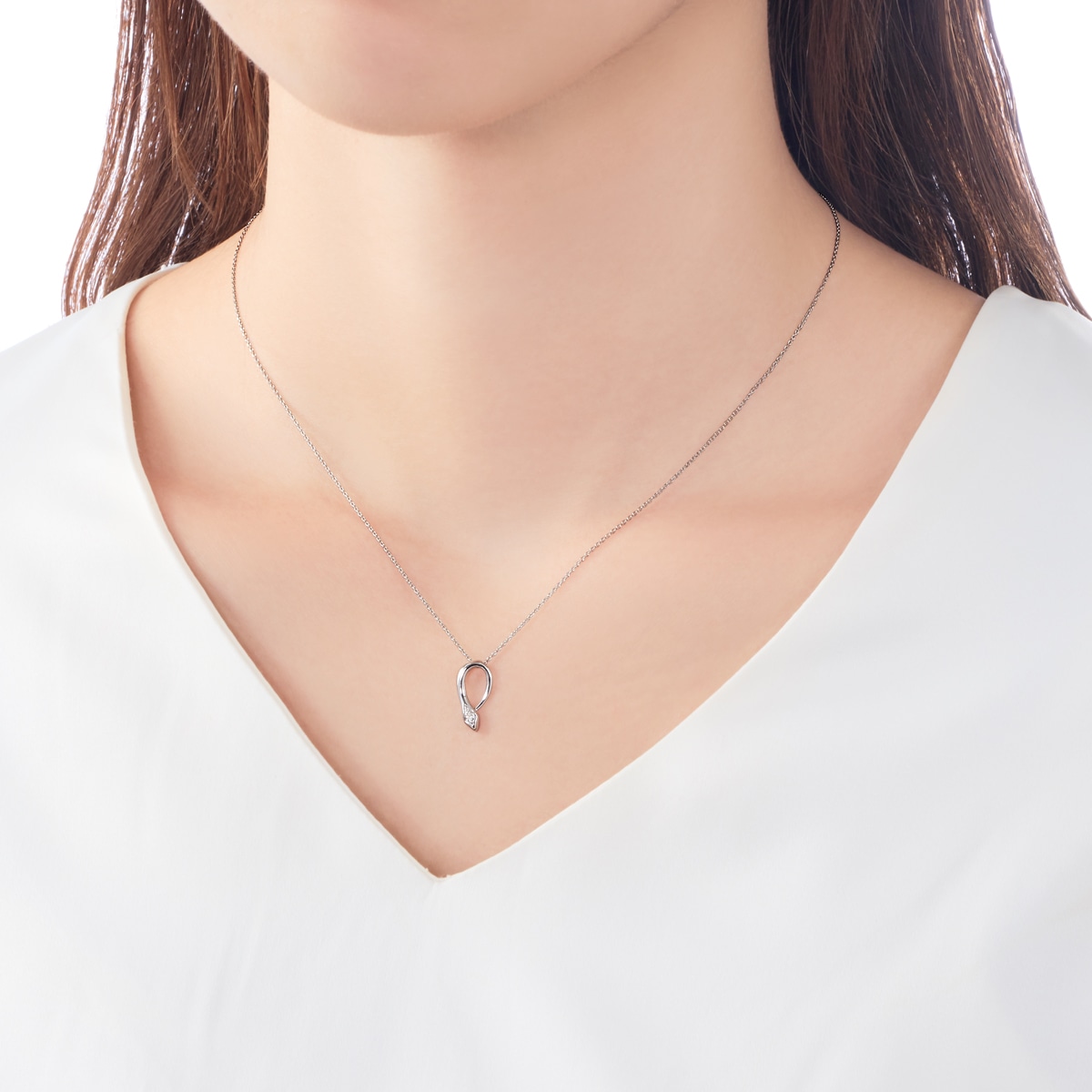 �v���`�i�_�C�������h�l�b�N���X