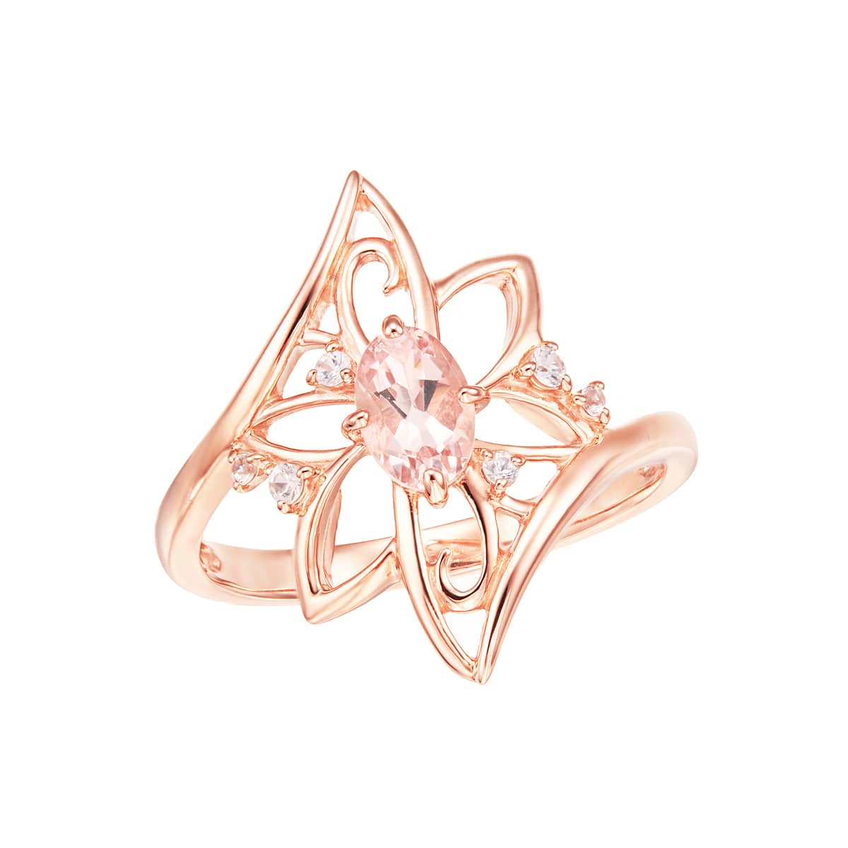 y2025N Gsweet12fځz2025cc~Winter CollectionuShining Landscapevጴ𕑂C[WAKiCg؂₩ɋPK10sNS[hKiCgO