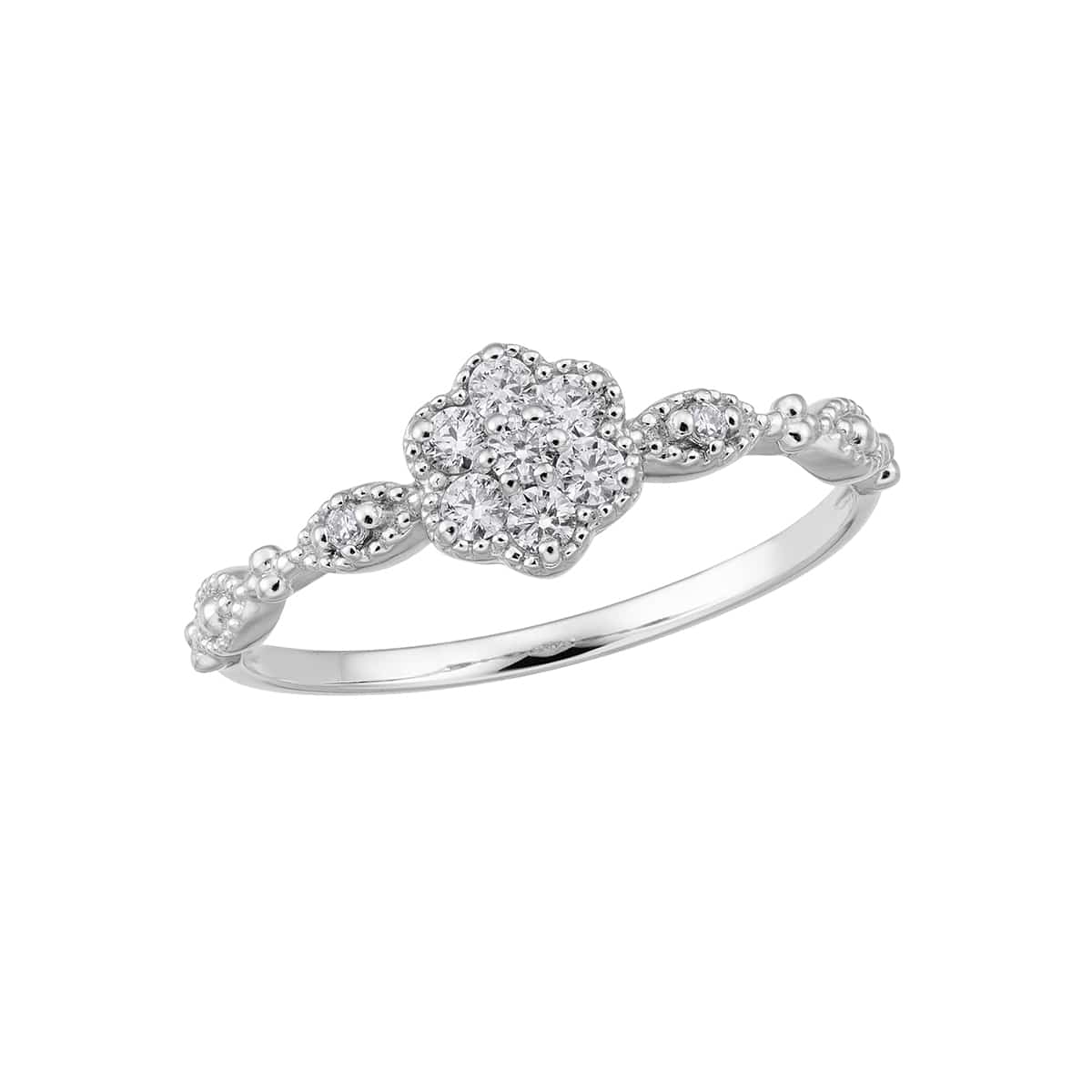 �v���`�i�_�C�������h�����O