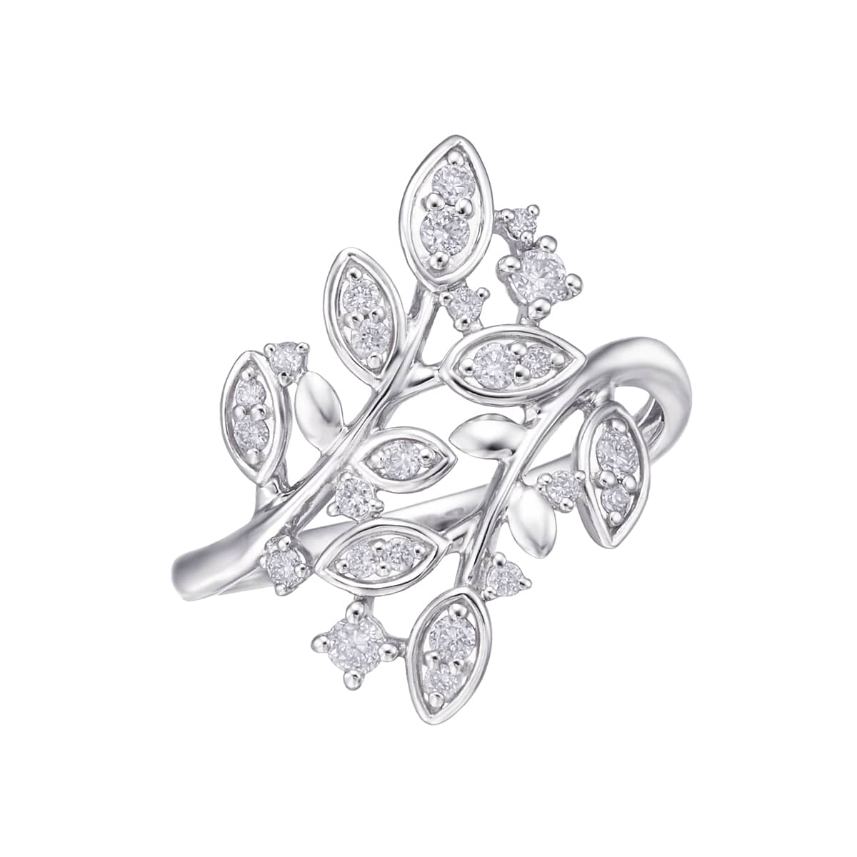 �v���`�i�_�C�������h�����O