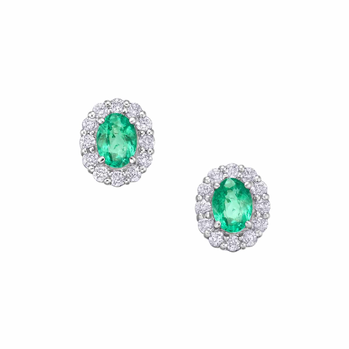 �v���`�i�G�������h�s�A�X