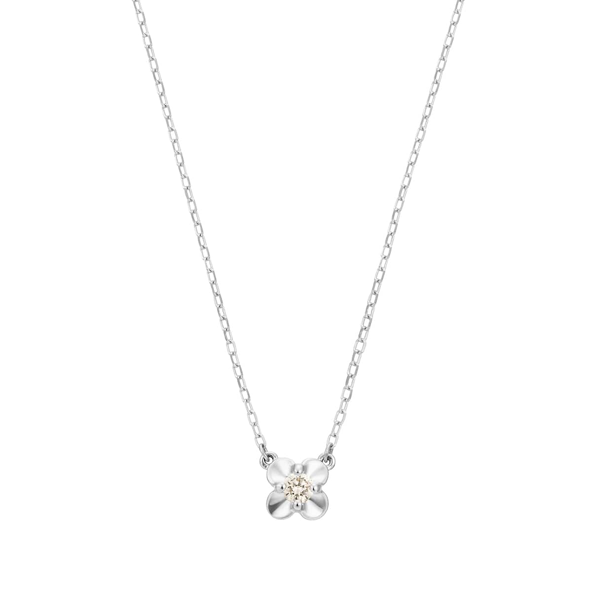 K10�z���C�g�S�[���h�_�C�������h�l�b�N���X