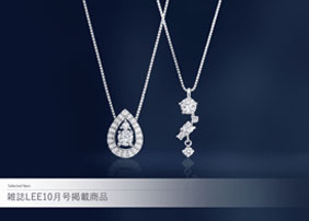 �G��LEE10�����f�ڏ��i