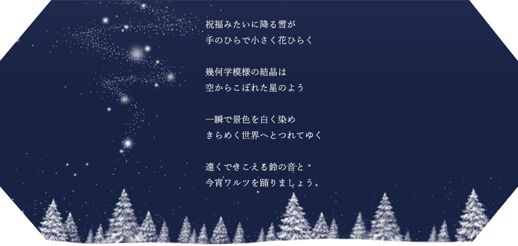 �N���X�}�X�v���[���g�E�����ւ̂��J���ɍœK�I�y���ԁE���ʌ���z2025 TSUTSUMI Winter Limied�uShining Landscape�v