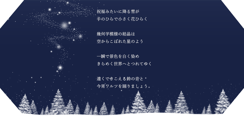 NX}Xv[gEւ̂JɍœKIyԁEʌz2025 TSUTSUMI Winter LimieduShining Landscapev