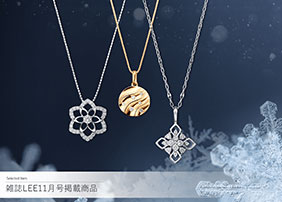 �G��LEE11�����f�ڏ��i