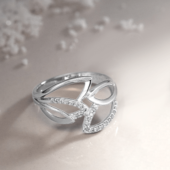 v[gEւ̂JɃIXXIy2025 cc~ Wintercollection - Shining Landscape - z