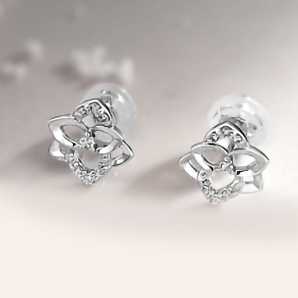 v[gEւ̂JɃIXXIy2025 cc~ Wintercollection - Shining Landscape - z