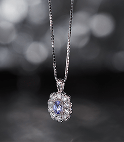 �������ꂽ�N���V�J�������������v���`�i�^���U�i�C�g�l�b�N���X���N���X�}�X�v���[���g��