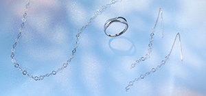 2026 TSUSUMI SummerCollection�uSummerField�vMetal