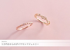 1���~�䂩��̃_�C�������h�W���G���[ 