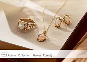2026 Autumn Collection�uHarvest Forest�v