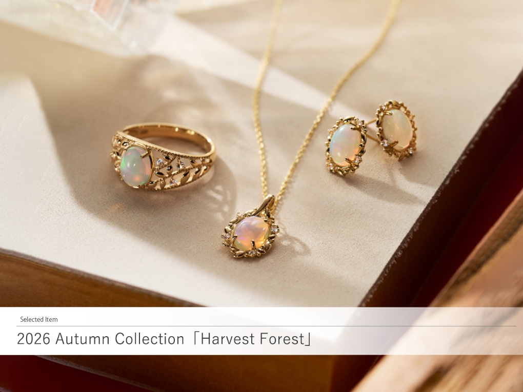 2026 AutumnCollection�uHarvest Forest�v